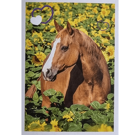 Horse Club Lieblingspferde Sticker - Nr 135