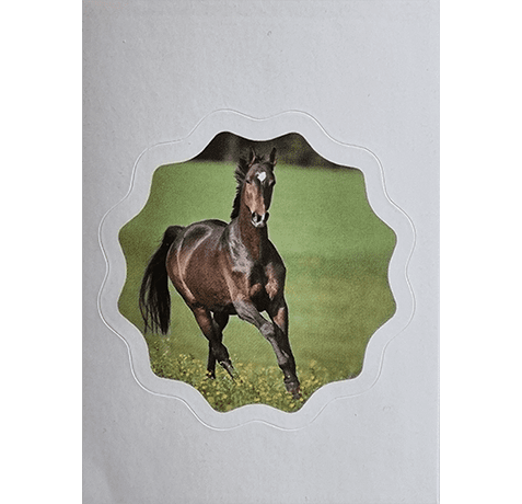 Horse Club Lieblingspferde Sticker - Nr 136