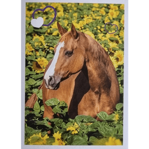 Horse Club Lieblingspferde Sticker - Nr 137