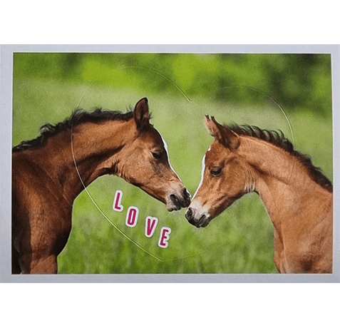 Horse Club Lieblingspferde Sticker - Nr 014