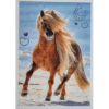 Horse Club Lieblingspferde Sticker - Nr 140