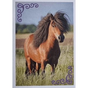 Horse Club Lieblingspferde Sticker - Nr 142