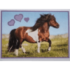 Horse Club Lieblingspferde Sticker - Nr 144
