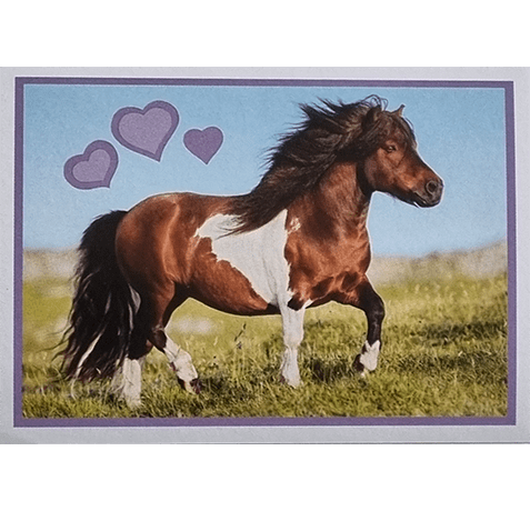 Horse Club Lieblingspferde Sticker - Nr 144