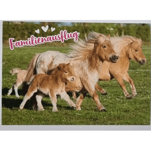 Horse Club Lieblingspferde Sticker - Nr 146