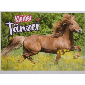 Horse Club Lieblingspferde Sticker - Nr 149