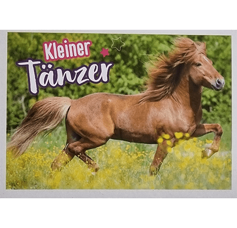 Horse Club Lieblingspferde Sticker - Nr 149