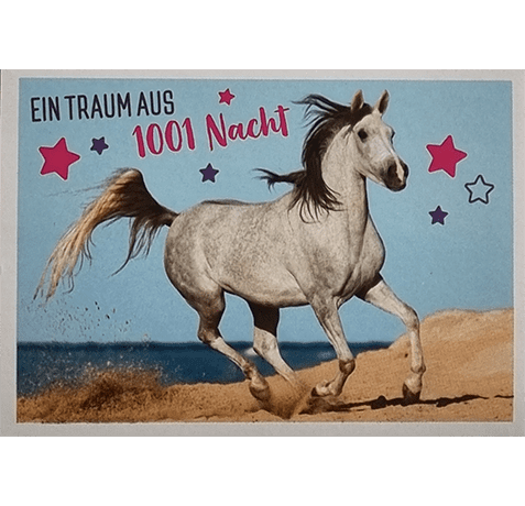 Horse Club Lieblingspferde Sticker - Nr 015