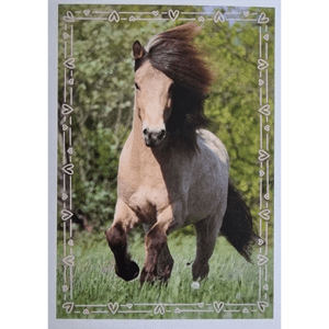 Horse Club Lieblingspferde Sticker - Nr 150