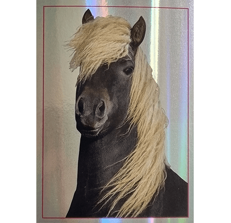 Horse Club Lieblingspferde Sticker - Nr 152