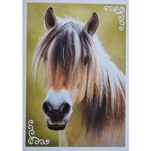 Horse Club Lieblingspferde Sticker - Nr 153