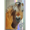 Horse Club Lieblingspferde Sticker - Nr 154