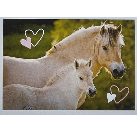 Horse Club Lieblingspferde Sticker - Nr 155