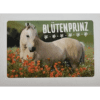 Horse Club Lieblingspferde Sticker - Nr 157