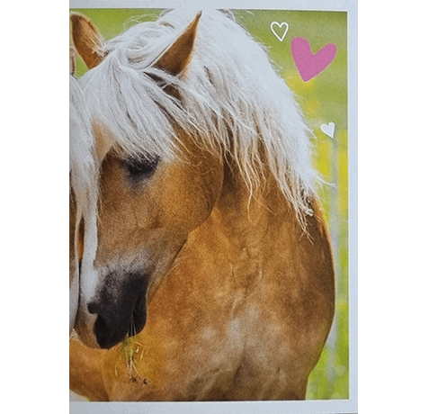 Horse Club Lieblingspferde Sticker - Nr 160