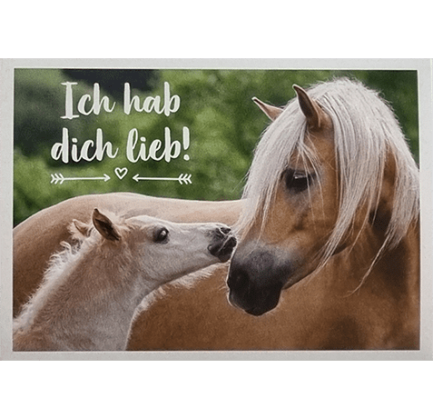 Horse Club Lieblingspferde Sticker - Nr 162