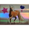 Horse Club Lieblingspferde Sticker - Nr 165
