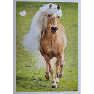 Horse Club Lieblingspferde Sticker - Nr 166