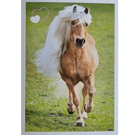 Horse Club Lieblingspferde Sticker - Nr 166