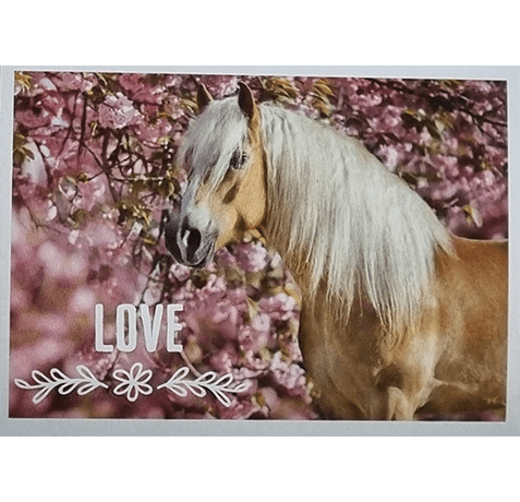Horse Club Lieblingspferde Sticker - Nr 167