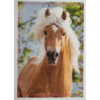 Horse Club Lieblingspferde Sticker - Nr 169