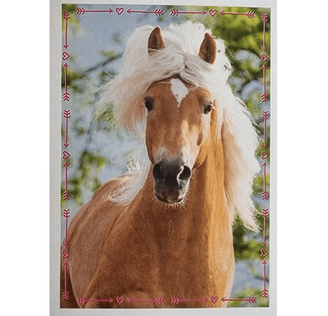 Horse Club Lieblingspferde Sticker - Nr 169
