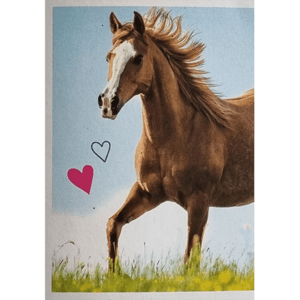 Horse Club Lieblingspferde Sticker - Nr 017