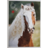 Horse Club Lieblingspferde Sticker - Nr 170