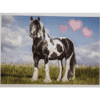 Horse Club Lieblingspferde Sticker - Nr 171