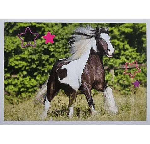 Horse Club Lieblingspferde Sticker - Nr 176
