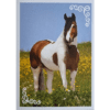 Horse Club Lieblingspferde Sticker - Nr 178