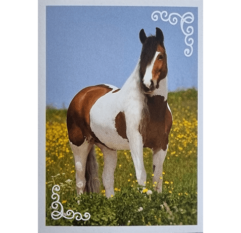 Horse Club Lieblingspferde Sticker - Nr 178