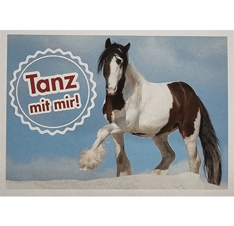 Horse Club Lieblingspferde Sticker - Nr 179