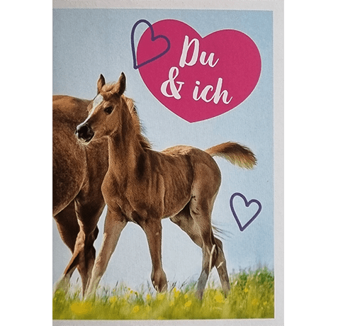 Horse Club Lieblingspferde Sticker - Nr 018