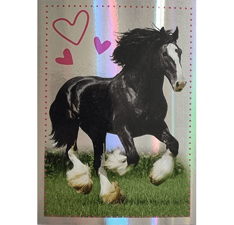 Horse Club Lieblingspferde Sticker - Nr 182