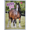 Horse Club Lieblingspferde Sticker - Nr 184