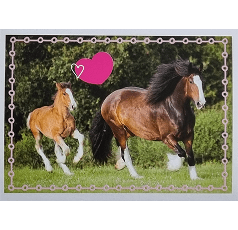 Horse Club Lieblingspferde Sticker - Nr 186