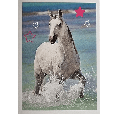 Horse Club Lieblingspferde Sticker - Nr 019