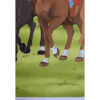 Horse Club Lieblingspferde Sticker - Nr 191