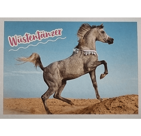 Horse Club Lieblingspferde Sticker - Nr 021