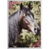 Horse Club Lieblingspferde Sticker - Nr 023