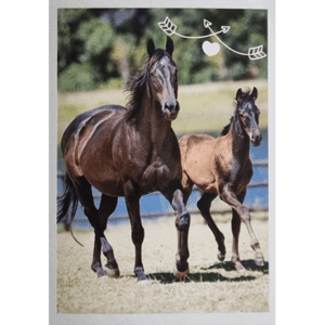 Horse Club Lieblingspferde Sticker - Nr 024