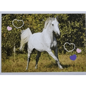 Horse Club Lieblingspferde Sticker - Nr 025