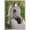 Horse Club Lieblingspferde Sticker - Nr 029
