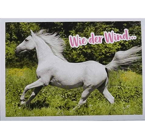 Horse Club Lieblingspferde Sticker - Nr 032