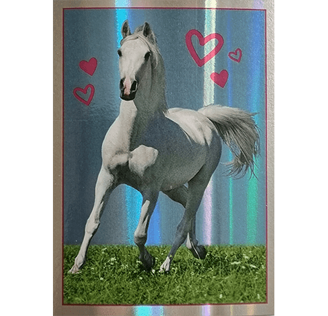 Horse Club Lieblingspferde Sticker - Nr 033