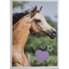 Horse Club Lieblingspferde Sticker - Nr 034
