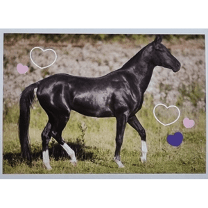 Horse Club Lieblingspferde Sticker - Nr 036