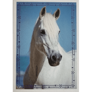Horse Club Lieblingspferde Sticker - Nr 039