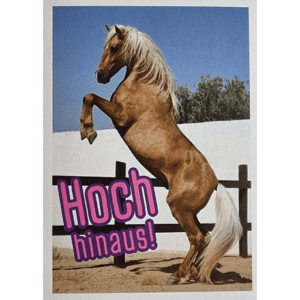 Horse Club Lieblingspferde Sticker - Nr 040